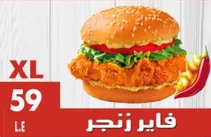 فاير زنجر